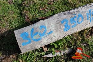 362 · 1 X JARRAH LOGS, 2.4M LONG, 350mm DIAMETER