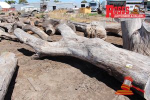 ALL204 - LANDSCAPE LOGS 350-900mm (Diameter) x 4.4m Landscape FORKED Log