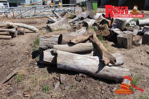 FWL206- FIREWOOD LOGS Dry Firewood Logs x 17