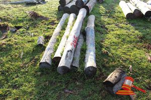 245 · BUNDLE OF 5 X JARRAH STRAINER POST LOGS,2.3 M LONG, ALL 200mm DIAMETER
