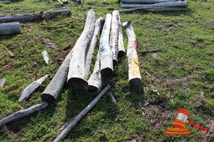 342 · BUNDLE OF 8 X JARRAH FENCE POSTS LOGS, 2.0M LONG, ALL 150mm DIAMETER