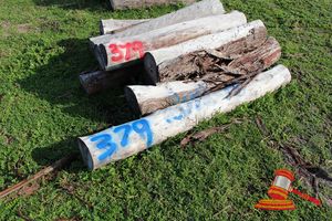 379 · BUNDLE OF 10 X JARRAH FENCE POSTS LOGS, 1.2 - 1.8M LONG, 200 mm DIAMETER