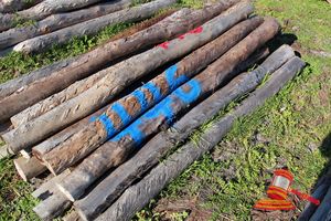 446 · BUNDLE OF 25 X JARRAH FENCE POSTS LOGS - 2.0 M LONG, 150mm DIAMETER