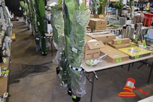 131 · PALM TREE 170CM
