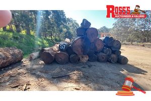 57 · 23 x CORYMBIA CALOPHYLLA MARRI LOGS APPROX DIMENSIONS:3.2-6m/450-1000mm APPROX WEIGHT: - 43.3 TONNES, NOTE: DOMESTIC PROCESSING REQUIRED