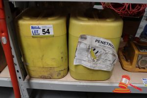 54 · 2x BOTTLES OF PENETROL WETTING AGENT