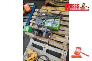 31 · STAHL ELECTRIC ST30 CHAIN HOIST (PS1855)