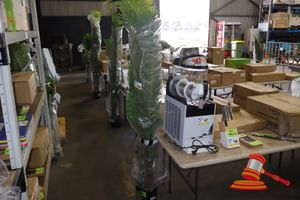 Palm Tree 160cm