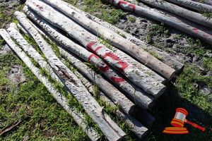 453 · BUNDLE OF 25 X JARRAH FENCE POSTS LOGS - 2.0 M LONG, 100mm DIAMETER