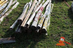 351 · BUNDLE OF 25 X JARRAH FENCE POSTS LOGS, 2.0M LONG, 75 -100mm DIAMETER