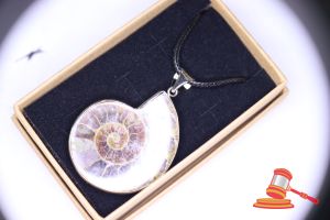 72 · AMMONITE PENDANT
