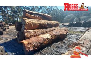 53 · 7 x EUCALYPTUS MARGINATA JARRAH LOGS APPROX DIMENSIONS:3.9-4.7m/700-900mm APPROX WEIGHT: - 22 TONNES, NOTE: DOMESTIC PROCESSING REQUIRED