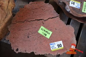 JARRAH BURL, L500mm x W410/430mm x D-80/100mm, APPROX SIZES