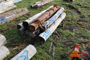 291 · BUNDLE OF 7 X JARRAH LOGS, 4.0 -4.7M LONG, ALL 300mm DIAMETER