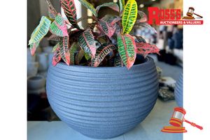 Matching set of 3 Snow White Planters - Size: 29 x 19 cm, 41 x 26 cm, 54 x 35 cm, RRP $295 Create a stylish designer display from the RippleLite Bowl range, featuring a wide low bowl planter with a ribbed coastal finish, this range brings a clean, contemporary look to homes, patios, courtyards, entryways and landscaped spaces. Constructed from super-lightweight stone-resin blend, it combines practical lightweight handling with a premium look. It is designed for indoor and outdoor use, UV resista