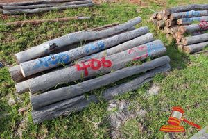 406 · BUNDLE OF 25 X JARRAH FENCE POSTS LOGS - 2.0 M LONG, 125mm DIAMETER