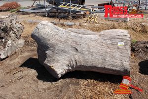 ALL202-LANDSCAPE LOGS 500-1100mm (Diameter) x 2.0m Landscape FORKED Log