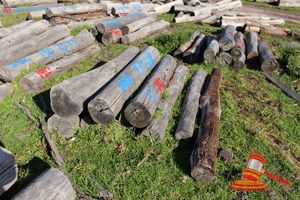 191 · BUNDLE OF 9 x JARRAH LOGS, 1.7 - 1.8 M LONG, ALL 250mm DIAMETER