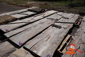 Live Edge Marri Slab, 5.2 X 850/950 X 60
