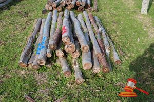 358 · BUNDLE OF 25 X JARRAH FENCE POSTS LOGS, 2.0M LONG, 100 -125mm DIAMETER