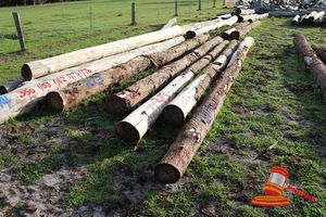 273 · BUNDLE OF 5 X JARRAH LOGS, 1 @ 7.7, 1 @ 7.0, 1 @ 6.6, 1 @ 6.5, 1 @ 6.9 M LONG, ALL 350mm DIAMETER