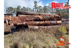 4 · 18 x EUCALYPTUS MARGINATA JARRAH LOGS, APPROX DIMENSIONS: 5.2-8.8m/400-950mm, APPROX WEIGHT: 49.8 TONNES - NOTE: DOMESTIC PROCESSING REQUIRED