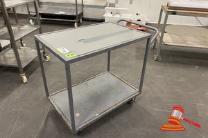 172 · 2 TIER METAL TROLLEY. APPROX 600 X 900 X H900MM