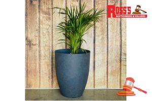 63 · Matching set of 2 Grey Artisan Planters - Size: 35 x 43 cm each, RRP $130 Create a stylish designer display from the 2074 Adam Pot range, featuring a round tapered planter with a smooth finish, this range brings a clean, contemporary look to homes, patios, courtyards, entryways and landscaped spaces. Constructed from stone-resin composite: 50% stone, 45% high-density resin and 5% fibreglass, it combines practical lightweight handling with a premium look. It is designed for indoor and outdoor use