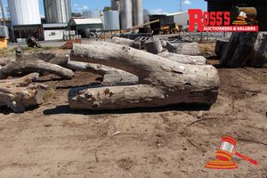 122 · ALL205-LANDSCAPE LOGS 400-900mm (Diameter) x 3.0m Landscape FORKED (3 Forks) Log