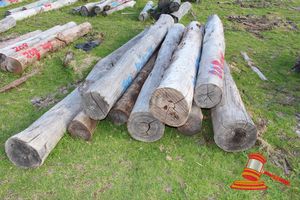 208 · BUNDLE OF 9 X JARRAH STRAINER POST LOGS, 1.7 - 2.4 M LONG, ALL 250mm DIAMETER