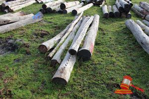288 · BUNDLE OF 4 X JARRAH LOGS, 3.0 - 3.8M LONG, ALL 250mm DIAMETER