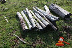 339 · BUNDLE OF 11 X JARRAH FENCE POST LOGS, 1.8M LONG, ALL 150mm DIAMETER