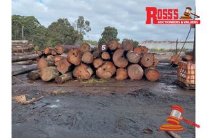 5 · 24 x EUCALYPTUS MARGINATA JARRAH LOGS, APPROX DIMENSIONS: 3.8-6.2m/400-1100mm, APPROX WEIGHT: 50 TONNES - NOTE: DOMESTIC PROCESSING REQUIRED