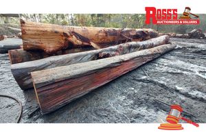23 · 6 x EUCALYPTUS MARGINATA JARRAH LOGS, APPROX DIMENSIONS: 8.2-9.7m/650-800mm, APPROX WEIGHT: 24.4 TONNES - NOTE: DOMESTIC PROCESSING REQUIRED