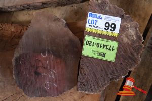 Jarrah Slices/Cookies, L250/300mm X W180/20mm X D 30/35mm Qty 2, Approx