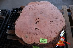 49 · JARRAH BURL SLICE, LIVE EDGE, L900mm x W800mm x 800mm x 870mm x 440mm x DEPTH 45/50mm, APPROX