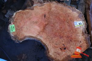 RIVER GUM SLICE, L1040mm x W640mm x W1100mm x 500mm D-50mm, APPROX