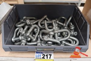 217 · TUB OF D-SHACKLES