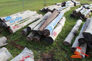315 · BUNDLE OF 9 X JARRAH STRAINER POST LOGS, 8 @ 2.4, 1 @ 2.2M LONG, 250 -300mm DIAMETER
