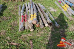 354 · BUNDLE OF 25 X JARRAH FENCE POSTS LOGS, 2.0M LONG, 125mm DIAMETER