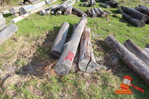 213 · BUNDLE OF 4 X JARRAH LOGS, 1 @ 3.3, 1 @ 3.6, 1 @ 4.6 & 1 @ 3.7 M LONG, ALL 400mm DIAMETER