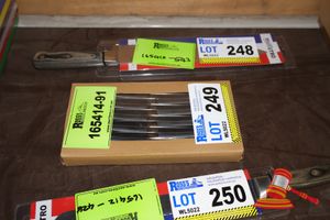 Steak Knife (Set Of 12)