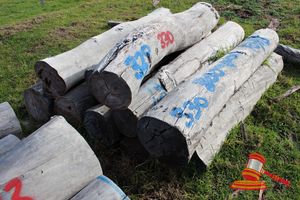 330 · BUNDLE OF 10 X JARRAH STRAINER POST LOGS, 1.8M LONG, 300 - 400mm DIAMETER