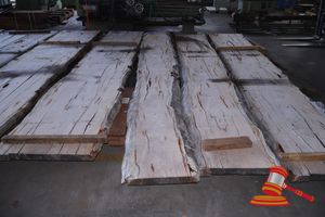 Live Edge Marri Slab, 5.0 X 600/660 X 60