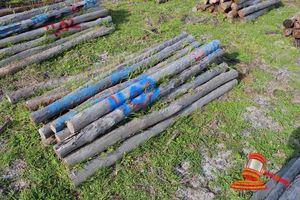 403 · BUNDLE OF 25 X JARRAH FENCE POSTS LOGS - 2.0 M LONG, 100mm DIAMETER