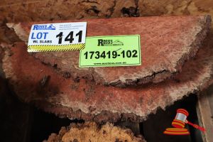 141 · JARRAH OFF CUT SLICE, L350/420mm x W130/170mm x D40/50mm x QTY 2, APPROX SIZES