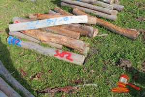 382 · BUNDLE OF 16 X JARRAH FENCE POSTS LOGS, 1.4 - 1.5 M LONG, 150 mm DIAMETER