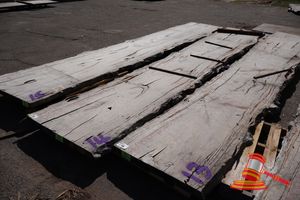 Live Edge Marri Slab Some Curl, 6.0 X 900/1000 X 60