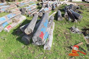200 · BUNDLE OF 9 X JARRAH STRAINER POST LOGS, 1.7 - 2.3 M LONG, ALL 250mm DIAMETER