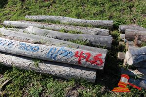 426 · BUNDLE OF 11 X JARRAH FENCE POSTS LOGS - 2.0 M LONG, 200mm DIAMETER